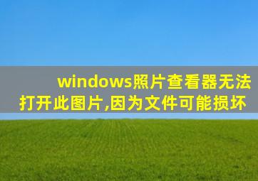 windows照片查看器无法打开此图片,因为文件可能损坏