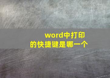 word中打印的快捷键是哪一个