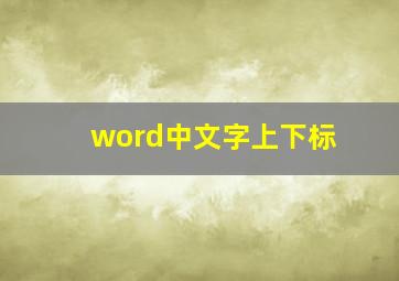 word中文字上下标