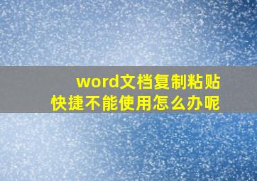 word文档复制粘贴快捷不能使用怎么办呢