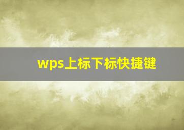 wps上标下标快捷键