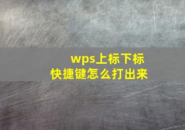 wps上标下标快捷键怎么打出来