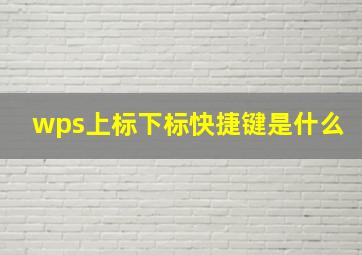 wps上标下标快捷键是什么