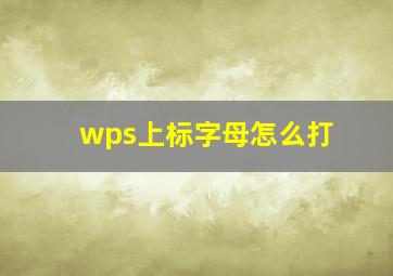 wps上标字母怎么打