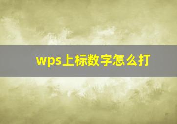 wps上标数字怎么打