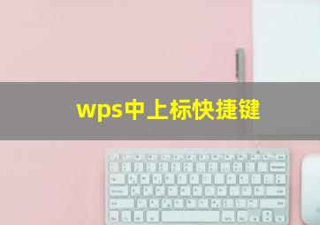 wps中上标快捷键