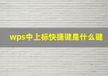 wps中上标快捷键是什么键