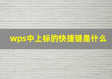 wps中上标的快捷键是什么