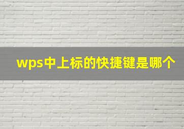 wps中上标的快捷键是哪个