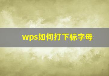 wps如何打下标字母