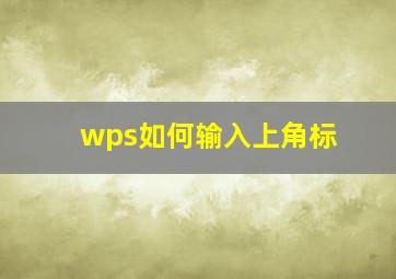 wps如何输入上角标