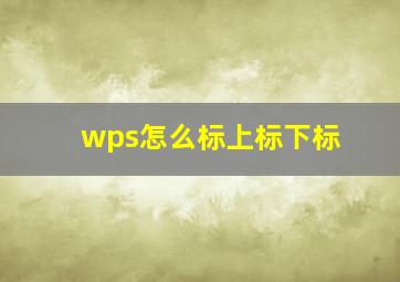 wps怎么标上标下标