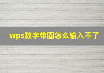 wps数字带圈怎么输入不了