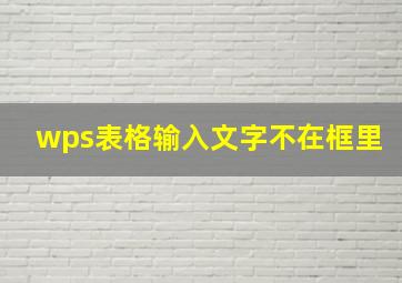 wps表格输入文字不在框里