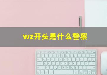 wz开头是什么警察