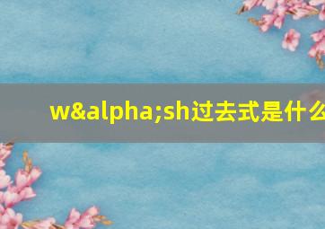 wαsh过去式是什么