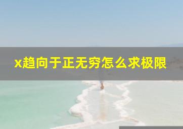 x趋向于正无穷怎么求极限