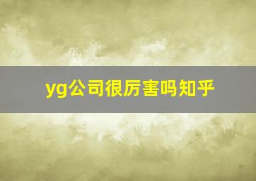 yg公司很厉害吗知乎