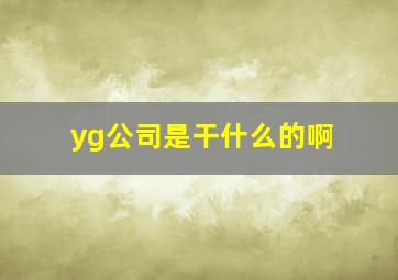 yg公司是干什么的啊