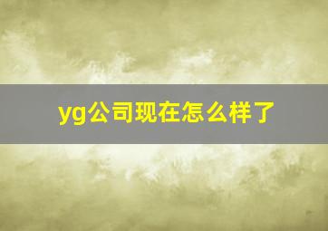 yg公司现在怎么样了