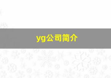 yg公司简介