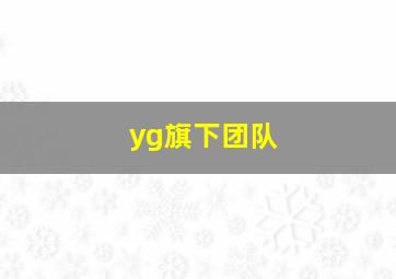 yg旗下团队