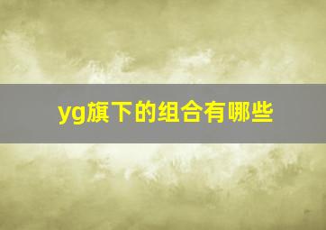 yg旗下的组合有哪些