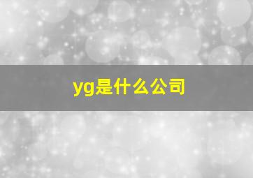 yg是什么公司