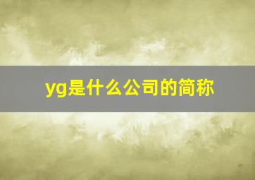 yg是什么公司的简称