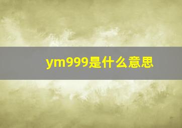 ym999是什么意思