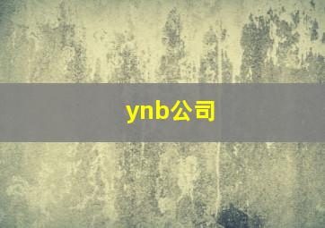 ynb公司