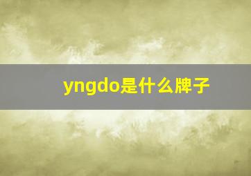 yngdo是什么牌子