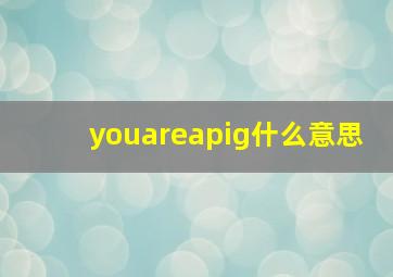 youareapig什么意思