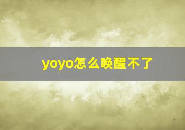 yoyo怎么唤醒不了