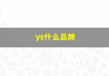 ys什么品牌