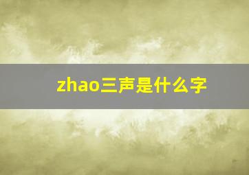 zhao三声是什么字