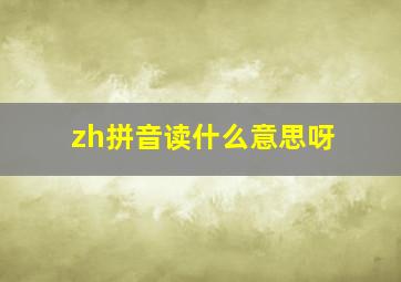 zh拼音读什么意思呀