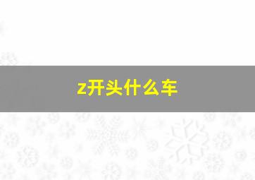 z开头什么车