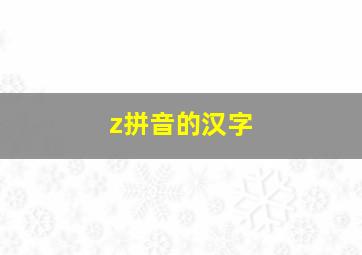 z拼音的汉字