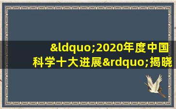 “2020年度中国科学十大进展”揭晓