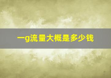 一g流量大概是多少钱