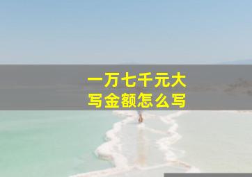 一万七千元大写金额怎么写