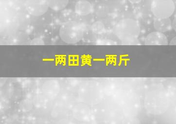 一两田黄一两斤