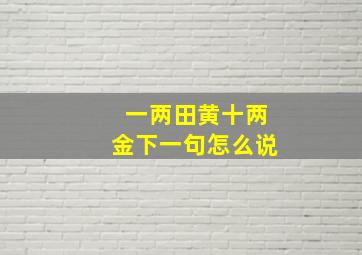 一两田黄十两金下一句怎么说