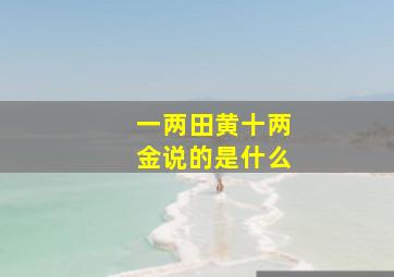 一两田黄十两金说的是什么