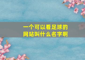 一个可以看足球的网站叫什么名字啊