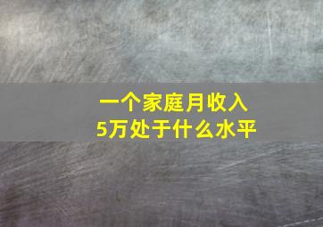 一个家庭月收入5万处于什么水平