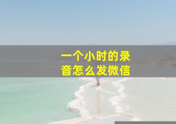 一个小时的录音怎么发微信