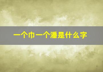 一个巾一个潘是什么字