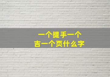 一个提手一个吉一个页什么字